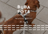 BudaPets Design Market, 2025. november 15.