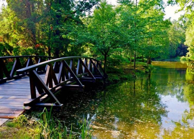 Piknikre és mozizásra is sort keríthetnek ebben a hazai botanikus kertben, 2021. július 31.