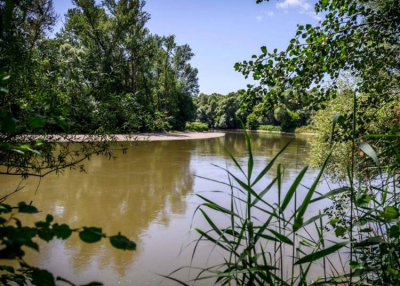 100 ezer hektárosra bővül Európa Amazonasa