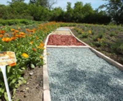 Felejthetetlen élmény a mezítlábas park: 11 vidéki ösvény nyomában