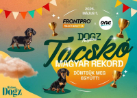DOGZ Fesztivál - Tacskó rekordkísérlet