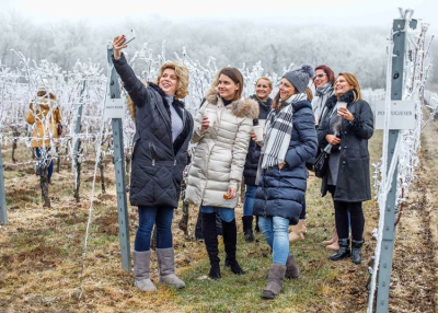 Pincéről Pincére Variációk Vincére, 2021.január 21.