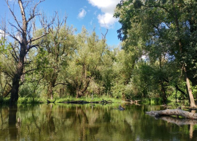 Erdei kalandok a titokzatos Gemencen