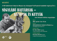 A magyar katonákról és kutya bajtársaikról nyílt időszaki kiállítás a Hadtörténeti Múzeumban