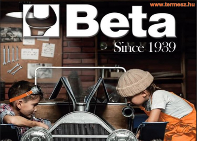 Megbízható utitárs, a BETA munkatárs!