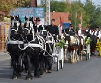 Gödi Szüreti Lovasfesztivál, 2019. október 5.