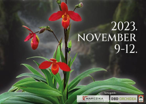 Orchidea és Bromélia Kiállítás, 2023. november 9-12.
