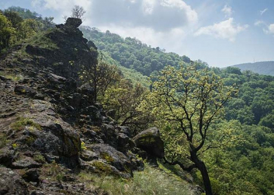 Vadregényes vidékeken - Túrák a Pilis szépséges tájain