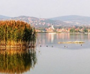 Kihasználatlan aranybánya a Velencei-tó