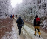 Évindító élménytúra Dobogókőre, 2019. január 5.