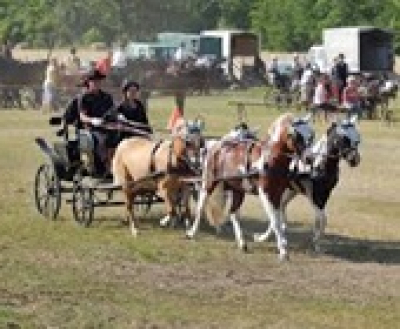 Hódmezővásárhelyi Kéktó Fesztivál, 2019. augusztus 9-11.