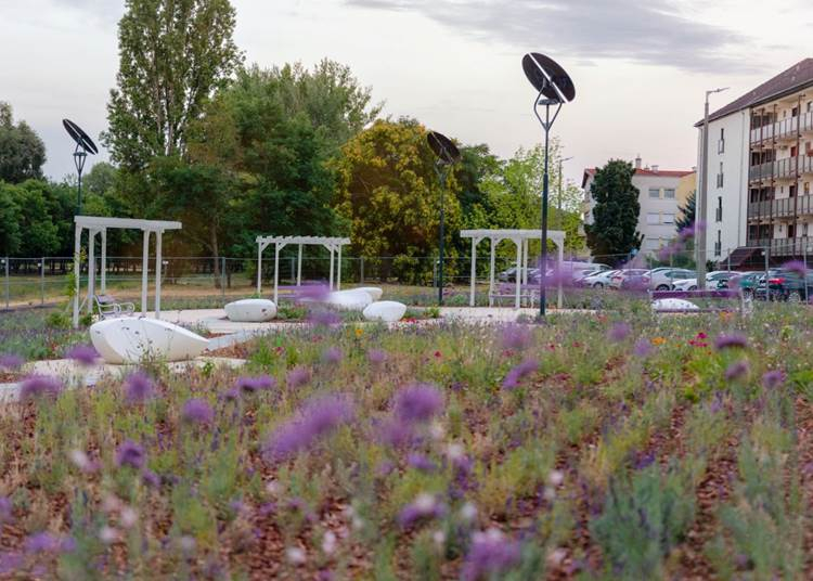 Szelfipontok és lila padok is kerültek Budapest első levendulaparkjába