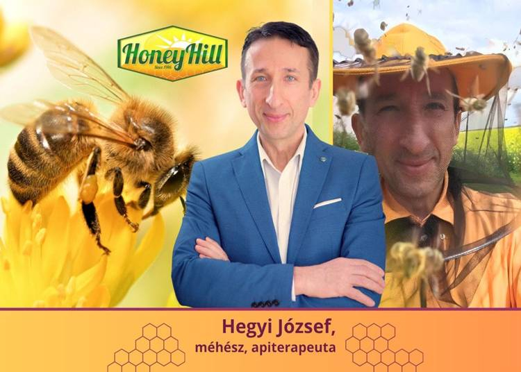 Méhek napja: mit tanulhatunk ezektől a csodálatos lényektől?