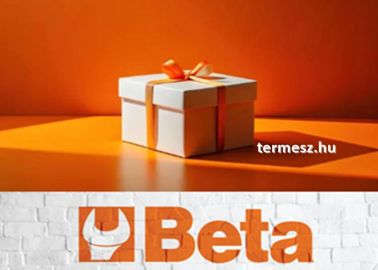 „Warm glow of giving”, azaz az adakozás meleg fénye, ragyogjon idén Karácsonykor is a fa alatt!