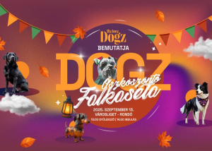 DOGZ - Őszköszöntő Falkaséta, 2025. szeptember 13.