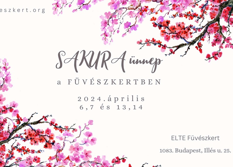 Sakura ünnep a Füvészkertben, 2024. április 6-7., 13-14.