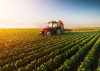 Vírusválság: veszít vagy nyer a magyar agrárium?, 2020. május 28.