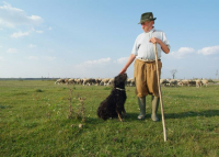 Kiskunsági Nemzeti Park