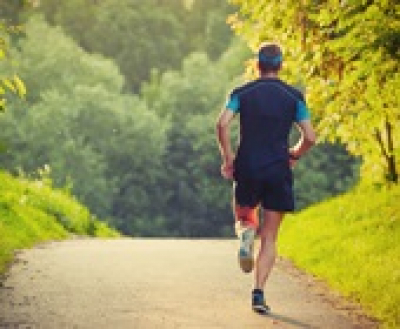 Dűlőre futunk, 2019. augusztus 24.