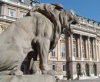 Budapesti Vármúzeum, 2015. november