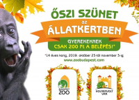 Őszi szünet: 200 forint lesz a belépő az Állatkertbe a 14 év alatti gyerekeknek!