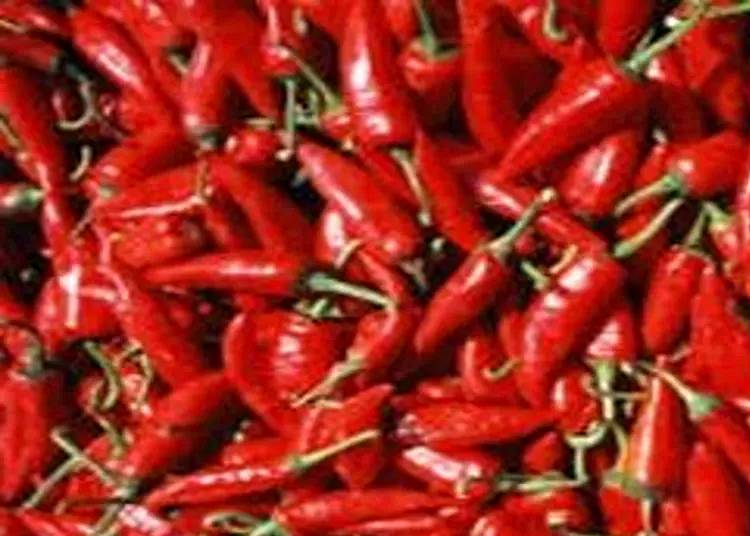 Kalocsai Paprika Fesztivál, 2023. szeptember 8-10.