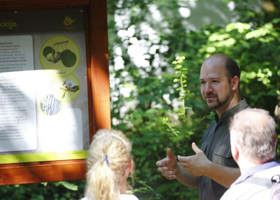 Háromszorosára nőtt a Tenkes-hegyi Csodabogyó-tanösvény