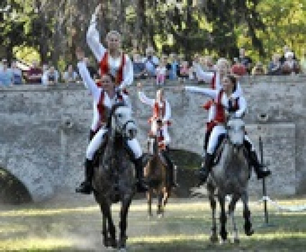 Szigetköz ízei, Vármegye borai Fesztivál, 2019. szeptember 13-15.