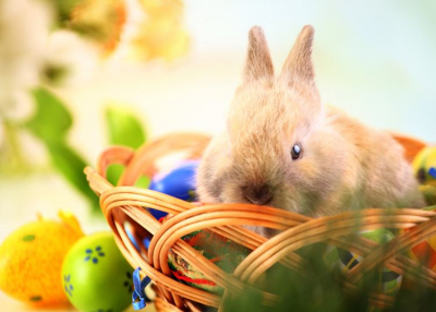 ELMARAD! Siófoki Húsvéti Nyuladalom, 2020. április 10-13.