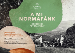 „A mi Normafánk” címmel közösségi fotógyűjtést szerveznek