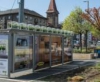 Fűszernövények nőnek a buszmegállóban
