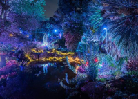 Vár még a Garden of Lights az ELTE Füvészkertben 2026. február 15-ig