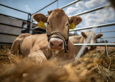 Farmer Expo Debrecen, 2020. augusztus 18-21.
