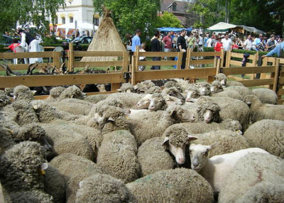 Kevi Juhászfesztivál, 2022. május 13 - 15.