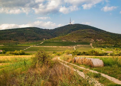 Zártkabinos libegő lehet Tokaj új kuriózuma