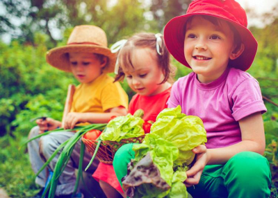 Szamóca Kiskertész Műhely, 2019. december 31-ig