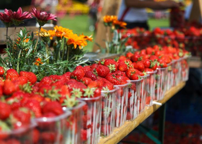 Eperfesztivál Tahitótfaluban, 2022. május 27 - 29.