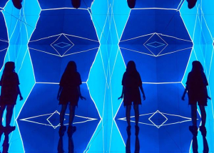 More Than Human – kiállítás a Light Art Museumban