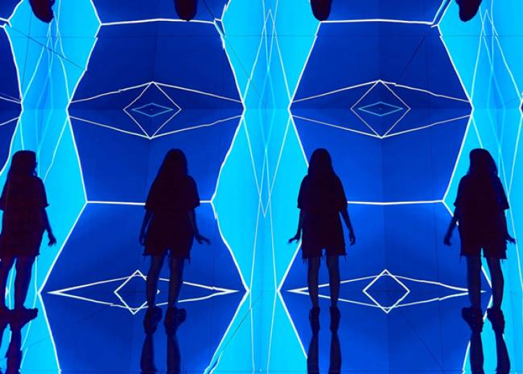 More Than Human – kiállítás a Light Art Museumban