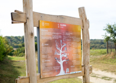 Két és fél kilométernyi felfedezés az új Hétágfa tanösvényen