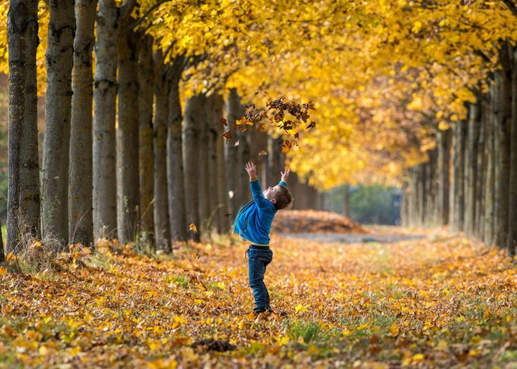 Harapni való levegő, csodás panoráma: 4 gyönyörű, őszi kirándulóhely Budapesten