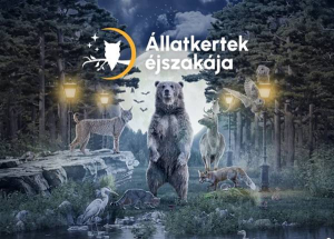 Állatkertek Éjszakája, 2025. augusztus 29.