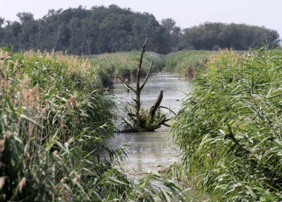 A Berek Világa Látogatóközpont Fonyódon várja a természetkedvelőket