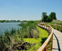 Az újraéledő Tisza-tó