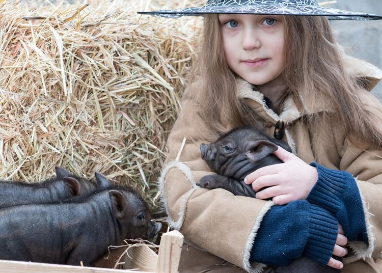 Utolsó idei - Barka Állatsimogató, 2019. október 26-27.