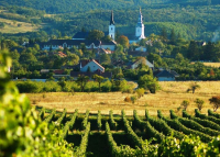 Tokaj-hegyalja több mint bor