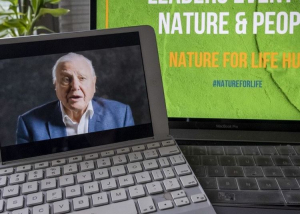 David Attenborough új filmje a karanténba zárt bolygóról szól