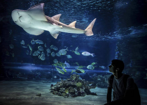 Budapest, Tropicarium