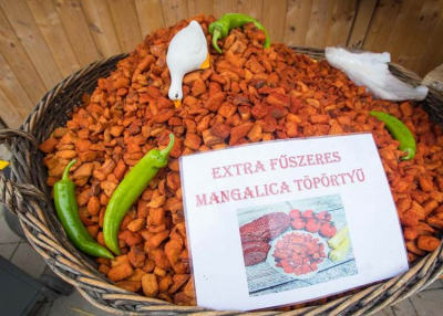 Bepótolják a VII. Bakony Expót: bakonyi ízek vására 2021. május 22-24-ig
