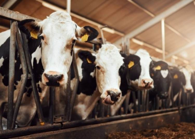 Agrárszektor Konferencia, 2022. november 30. - december 1.